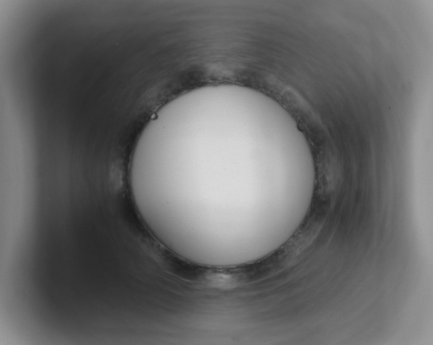 X0000102300706200808081544