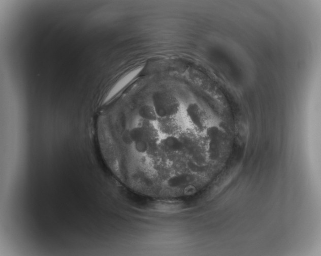 X0000102300707200808081544