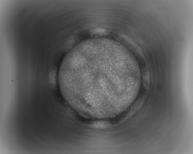 X0000102300708200808081544