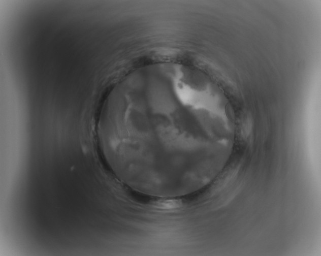 X0000102300711200808081544