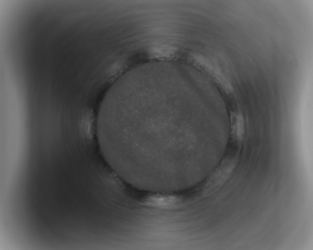 X0000102300712200808081544