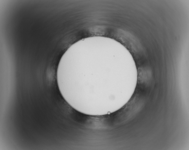 X0000102300713200808081544