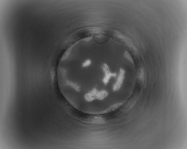 X0000102300715200808081544