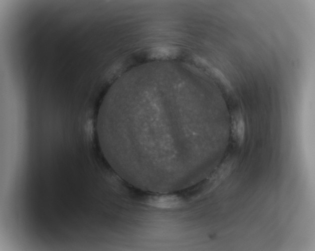 X0000102300716200808081544