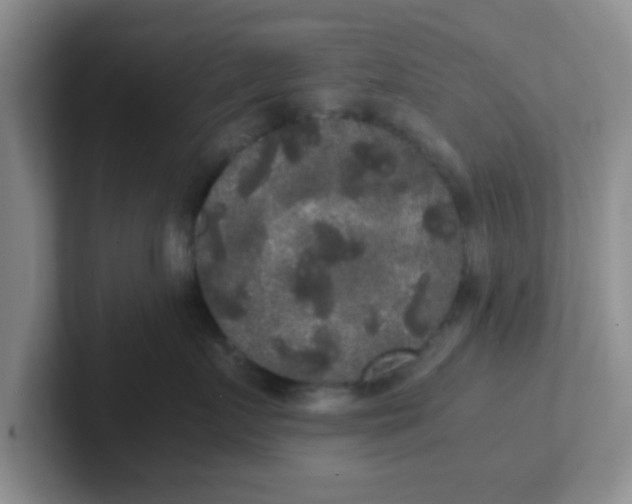 X0000102300719200808081544