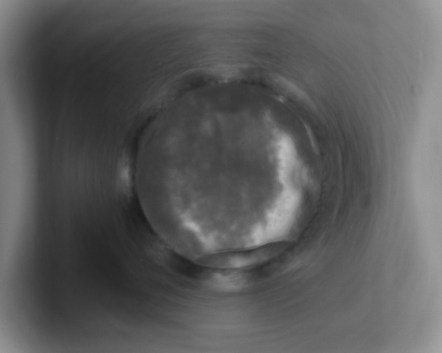 X0000102300720200808081544