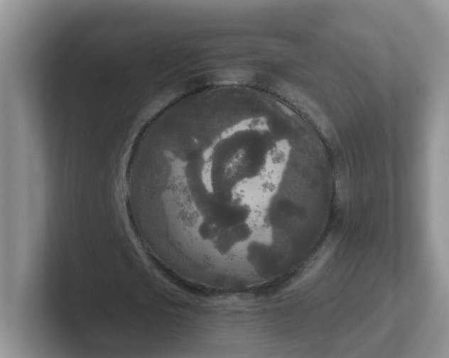 X0000102300721200808081544