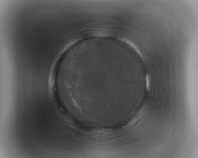 X0000102300723200808081544