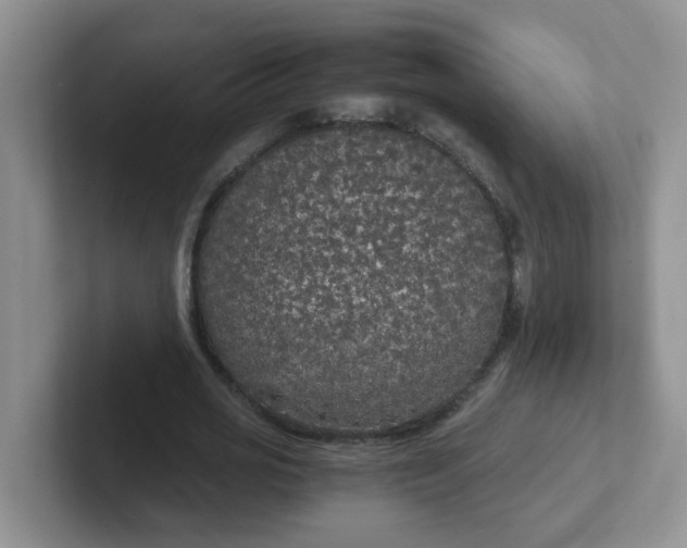 X0000102300725200808081544