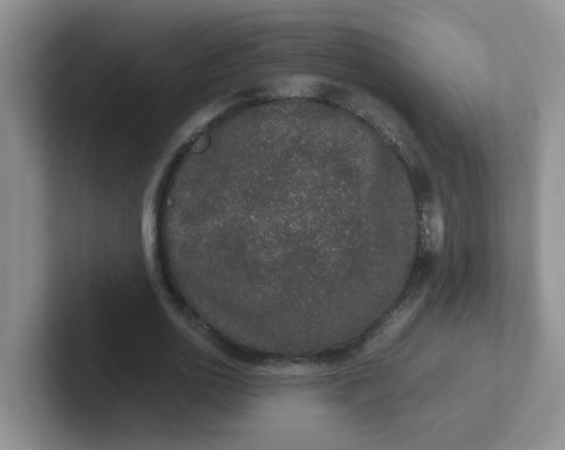 X0000102300726200808081544