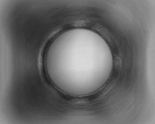 X0000102300727200808081544