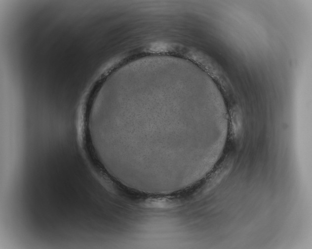 X0000102300728200808081544