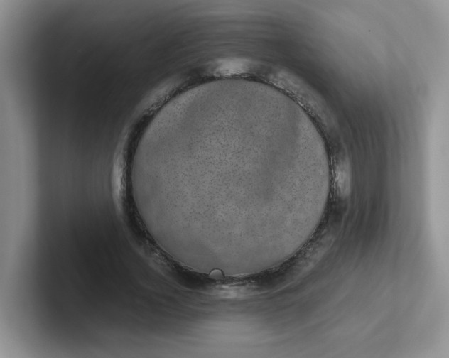 X0000102300732200808081544