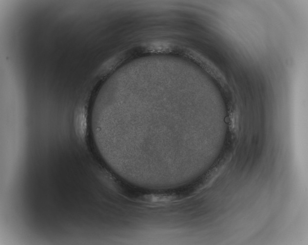 X0000102300733200808081544