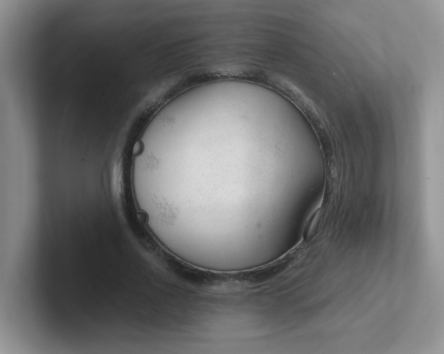 X0000102300734200808081544