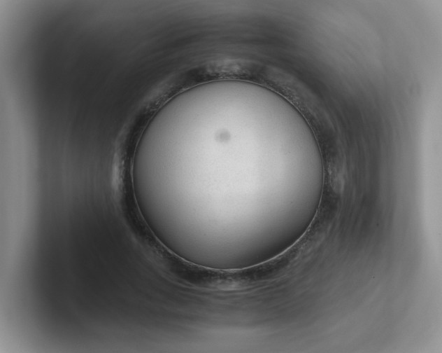 X0000102300735200808081544