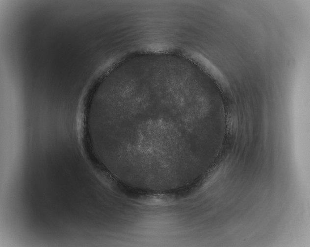 X0000102300736200808081544