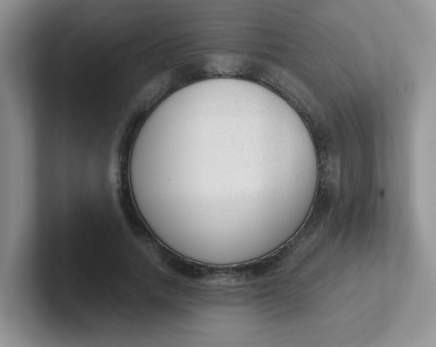 X0000102300738200808081544