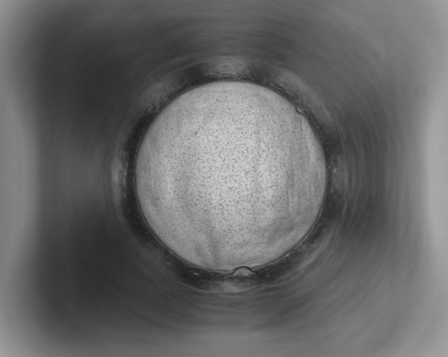 X0000102300739200808081544