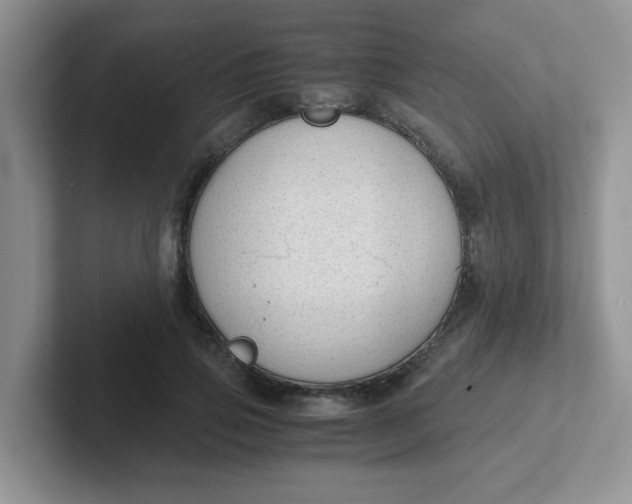 X0000102300741200808081544