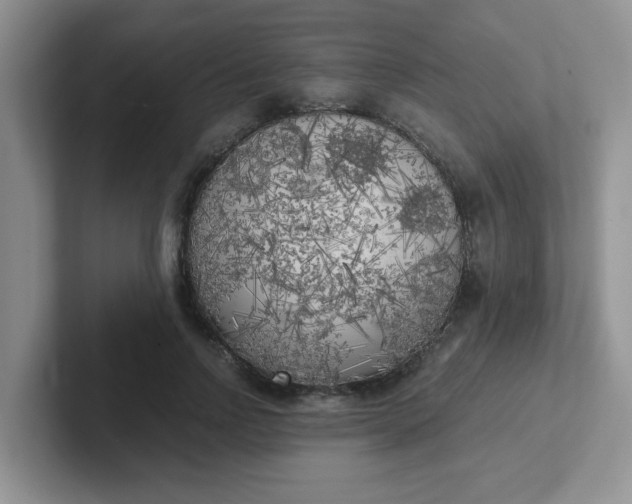 X0000102300742200808081544