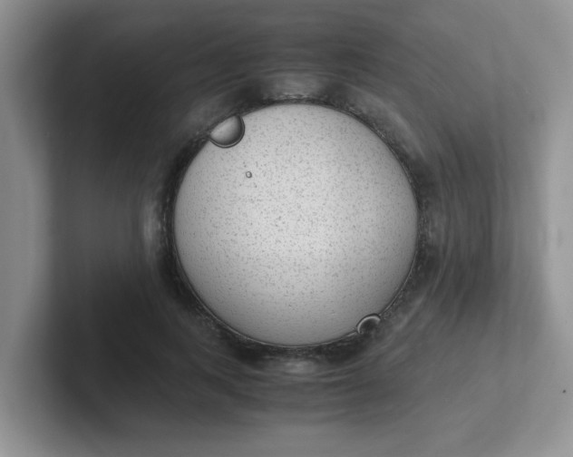 X0000102300743200808081544