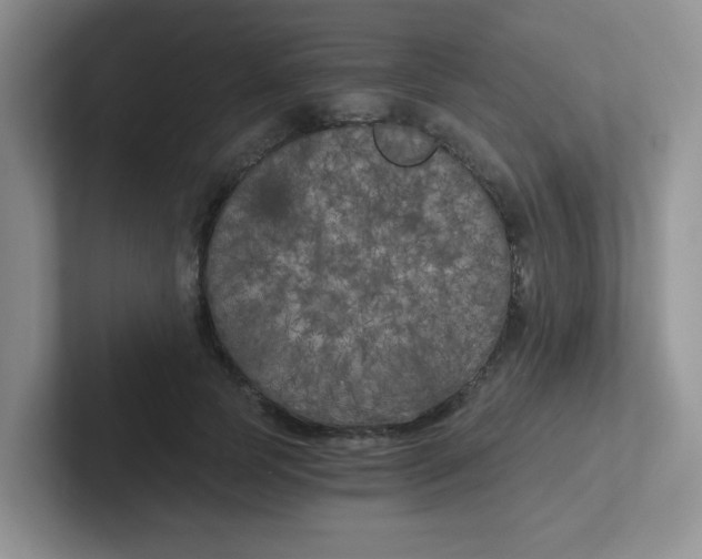 X0000102300745200808081544