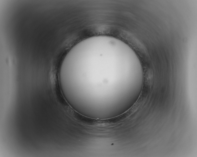 X0000102300746200808081544