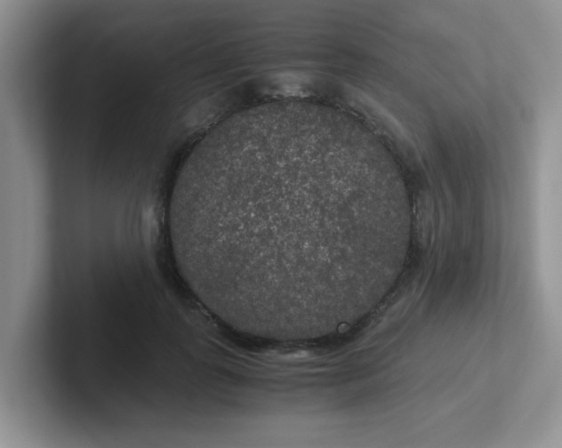 X0000102300747200808081544