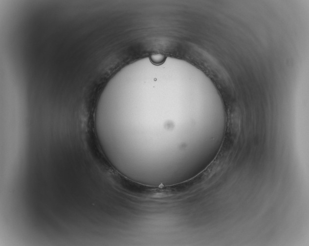 X0000102300750200808081544