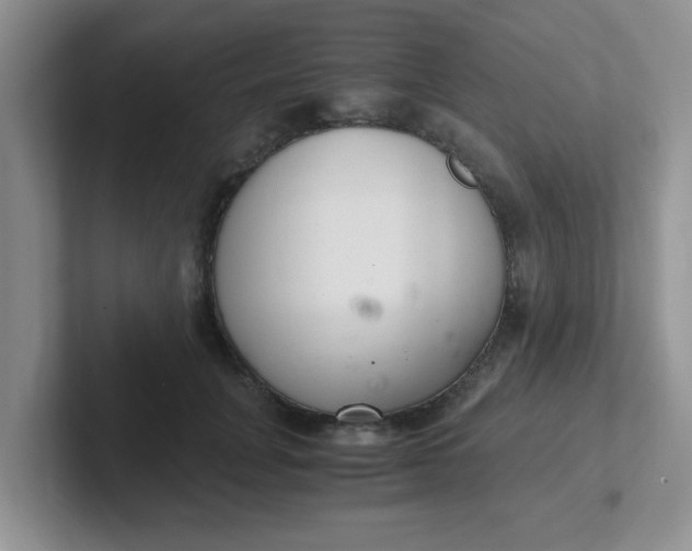 X0000102300751200808081544