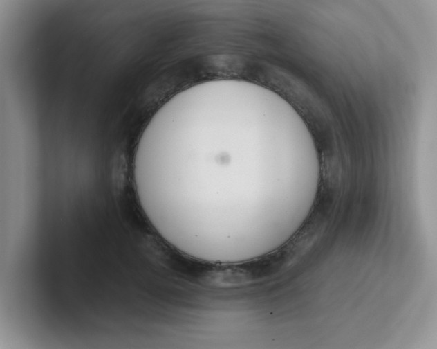 X0000102300752200808081544