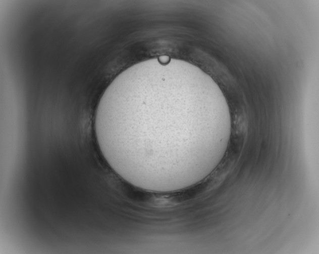 X0000102300753200808081544