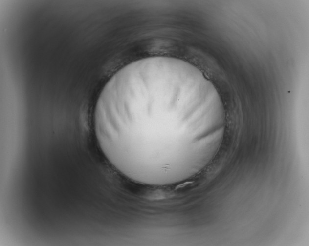 X0000102300755200808081544