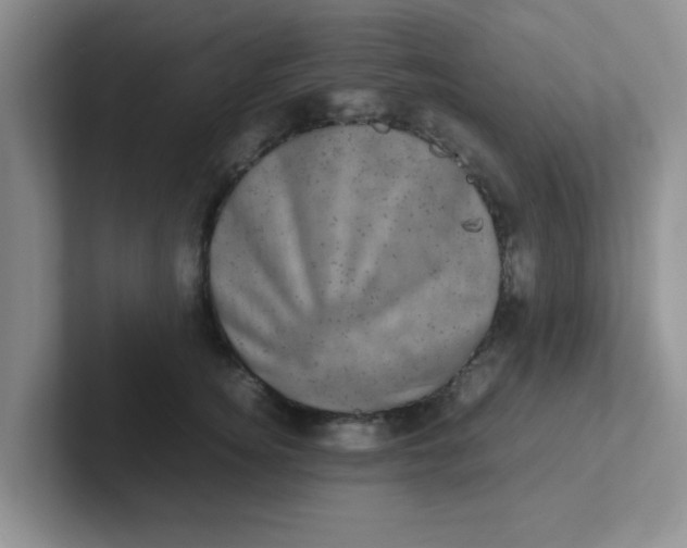 X0000102300756200808081544