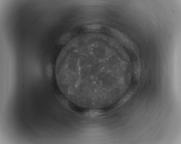 X0000102300758200808081544