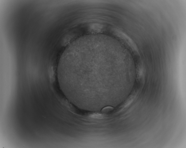 X0000102300759200808081544