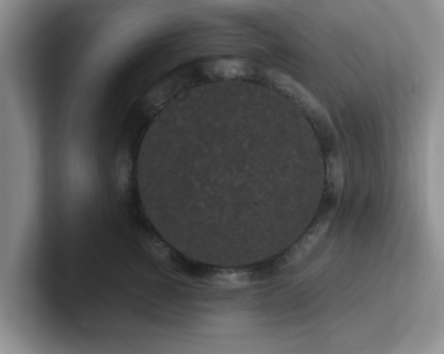 X0000102300760200808081544