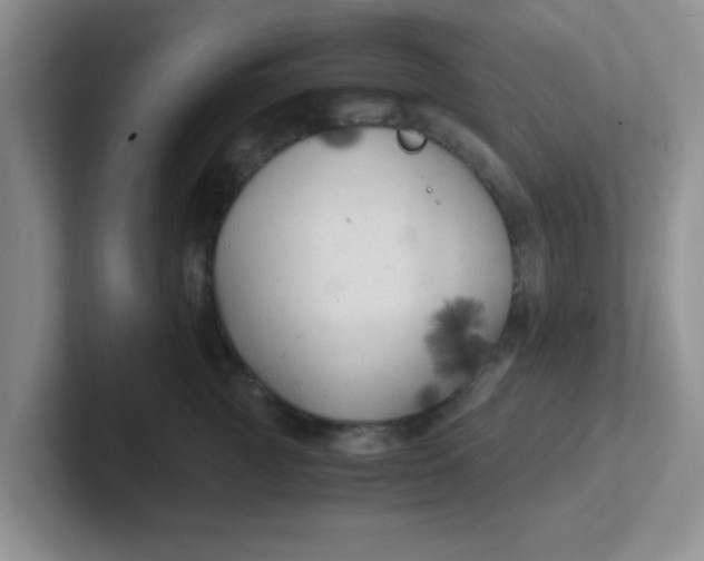 X0000102300761200808081544