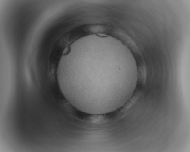 X0000102300762200808081544