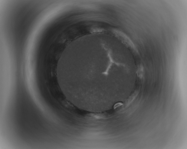 X0000102300763200808081544