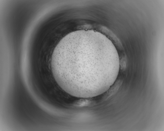 X0000102300764200808081544