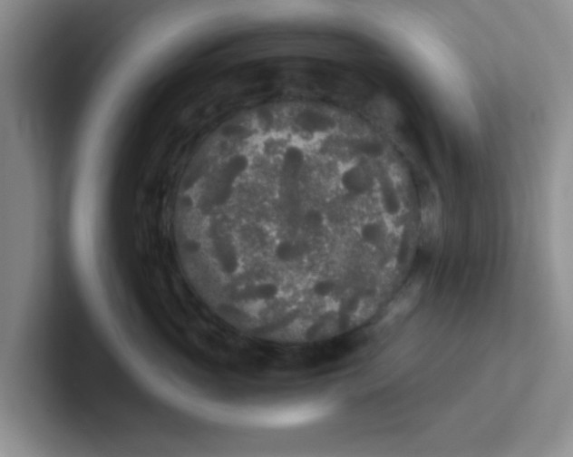 X0000102300765200808081544