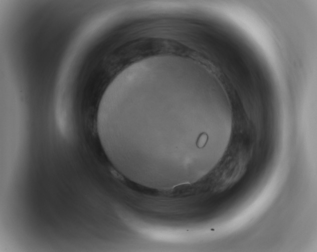 X0000102300766200808081544