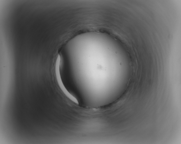 X0000102300768200808081544