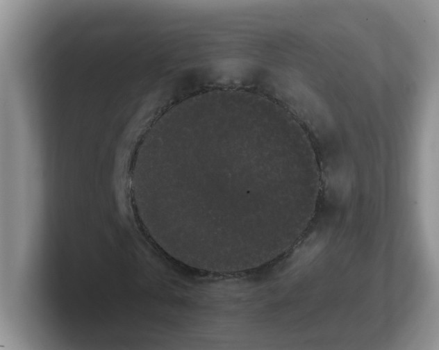 X0000102300769200808081544