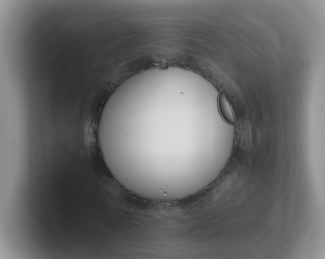 X0000102300770200808081544