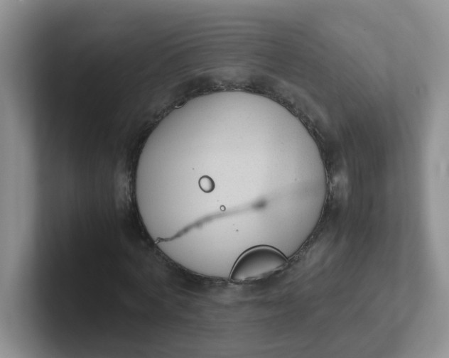 X0000102300772200808081544