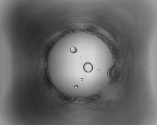 X0000102300773200808081544