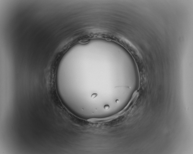 X0000102300775200808081544